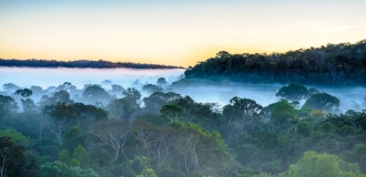 Circuit privatif Le Meilleur de l'Amazonie & du Pantanal